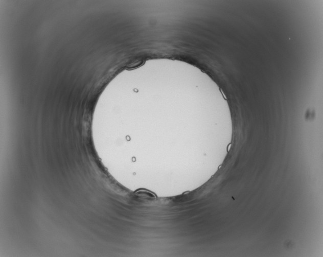 X0000114000576200910231755