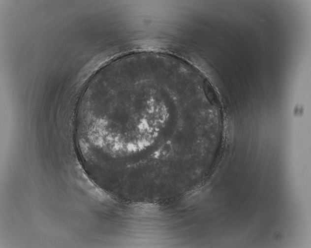 X0000114000577200910231754