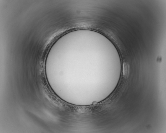 X0000114000579200910231754