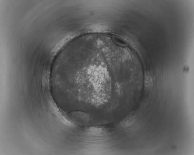 X0000114000581200910231754