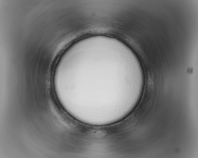 X0000114000582200910231754
