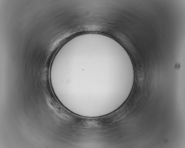 X0000114000583200910231754