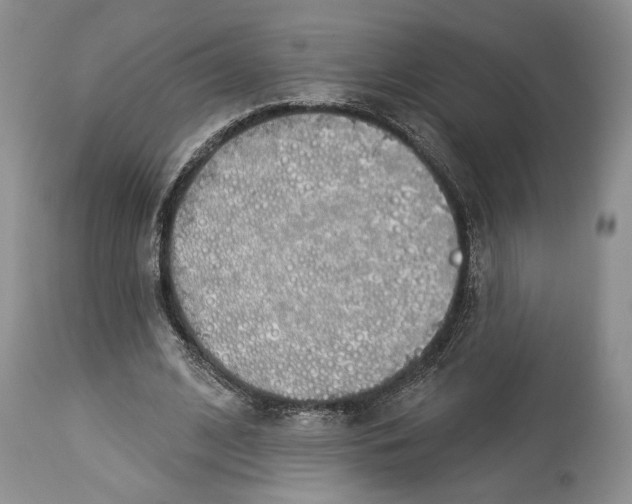 X0000114000584200910231754