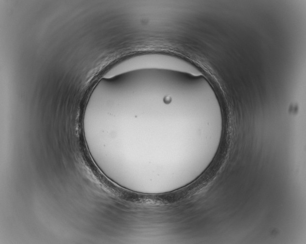 X0000114000585200910231754