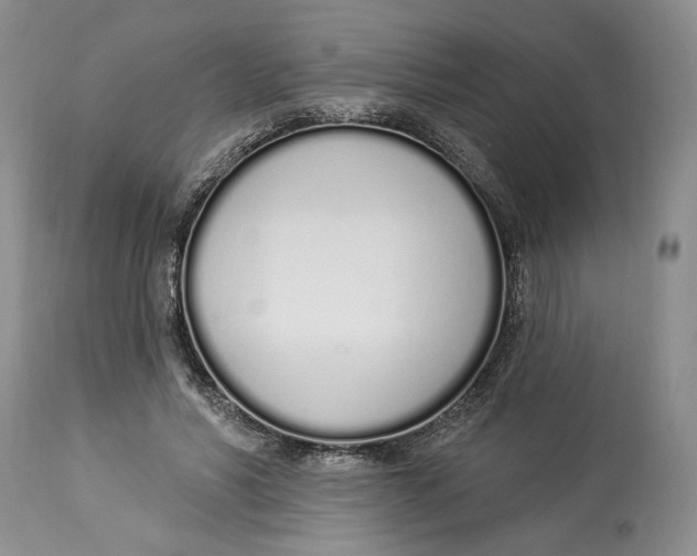 X0000114000590200910231754