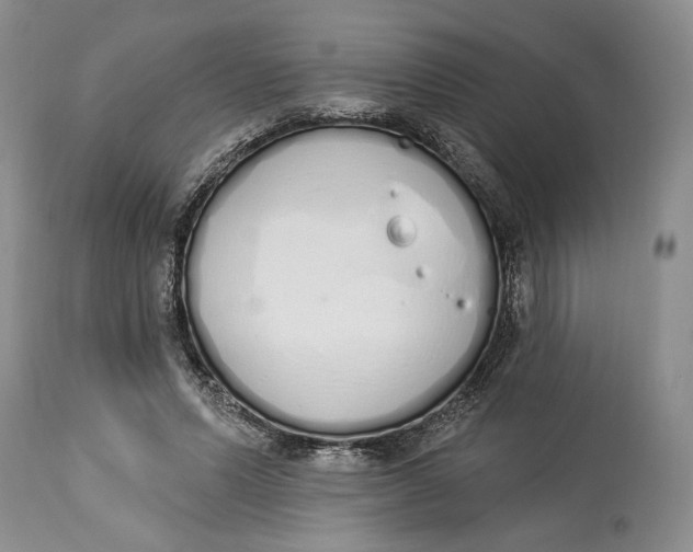 X0000114000591200910231754