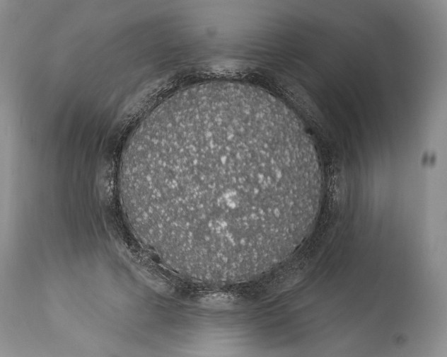X0000114000593200910231754