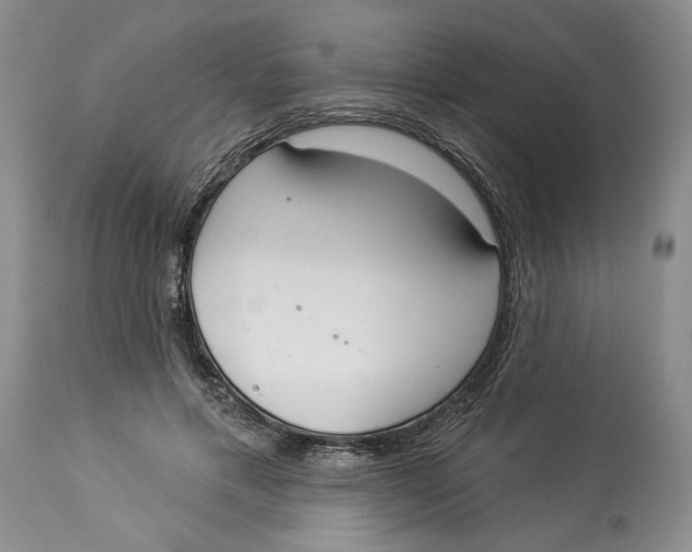 X0000114000597200910231754