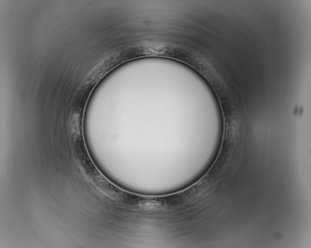 X0000114000598200910231754