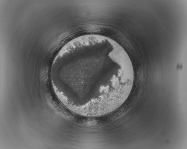 X0000114000600200910231753