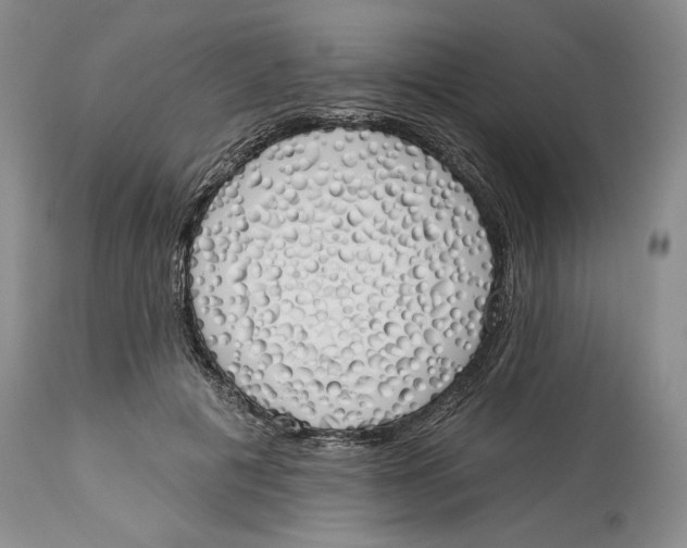 X0000114000601200910231753