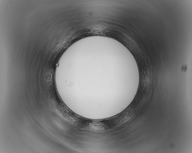 X0000114000603200910231753