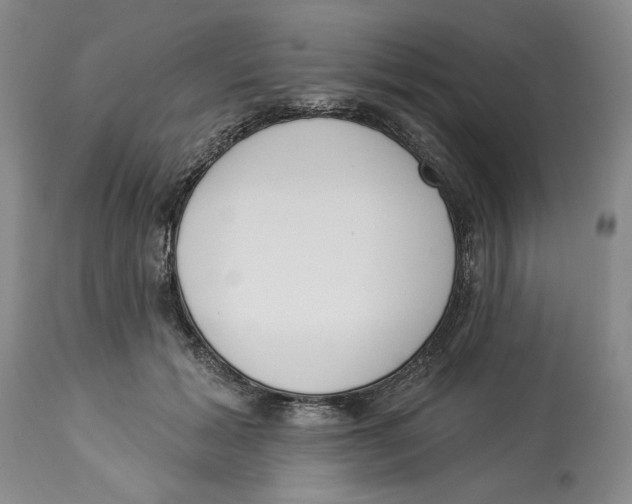 X0000114000605200910231753
