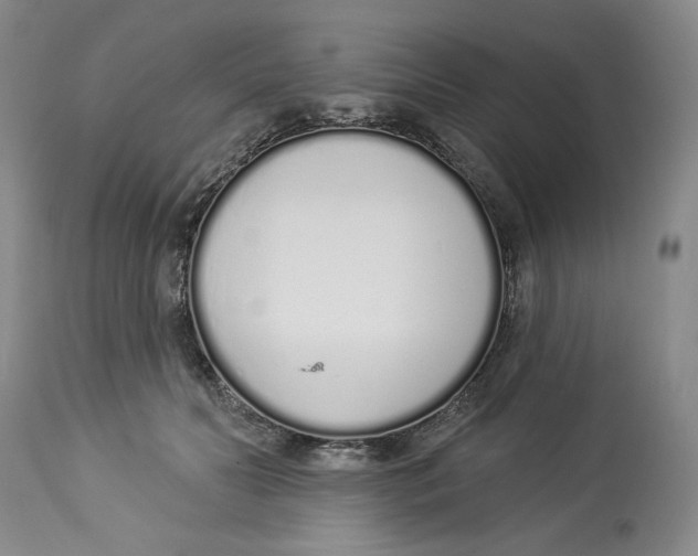 X0000114000606200910231753
