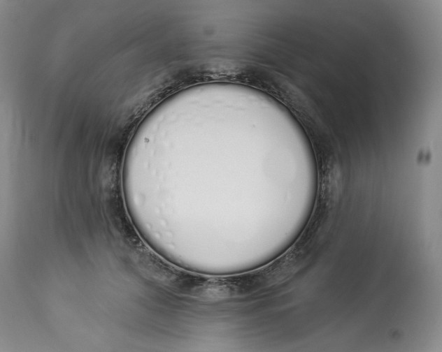 X0000114000608200910231753