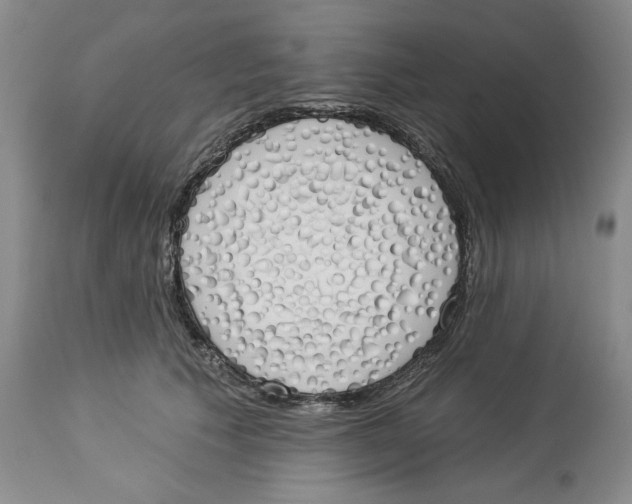 X0000114000609200910231753