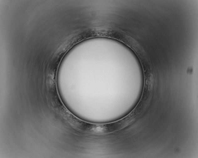 X0000114000610200910231753
