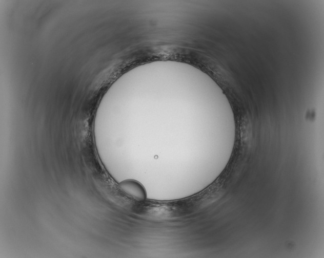 X0000114000611200910231753