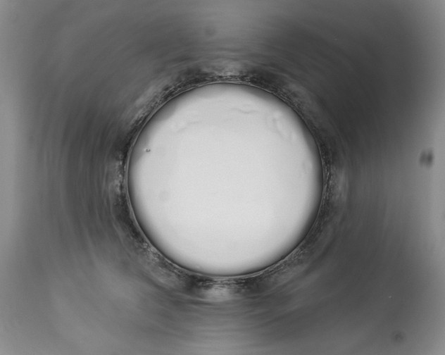 X0000114000612200910231753