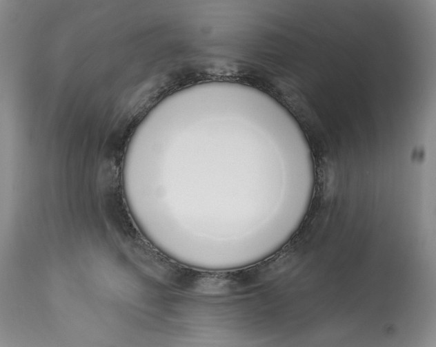 X0000114000614200910231753