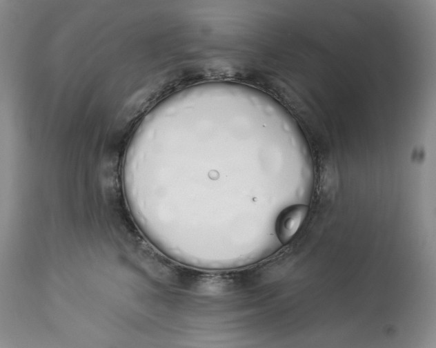 X0000114000616200910231753