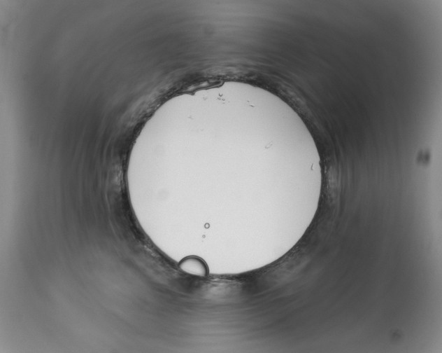 X0000114000617200910231753