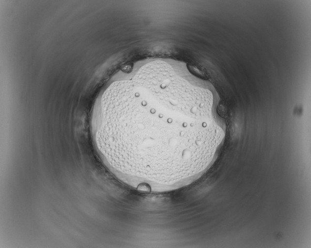 X0000114000619200910231753