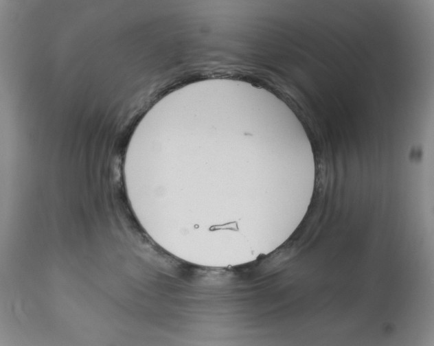 X0000114000621200910231753