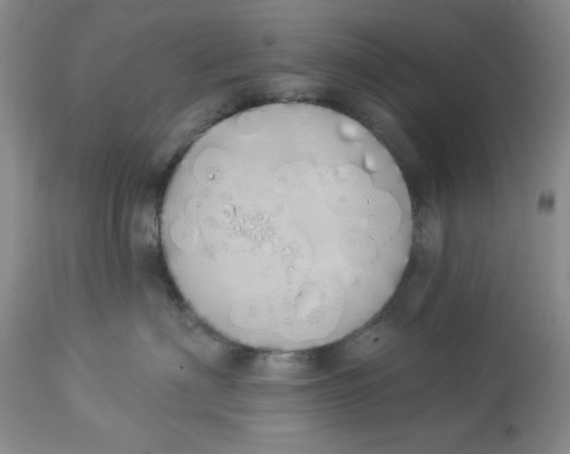 X0000114000622200910231753