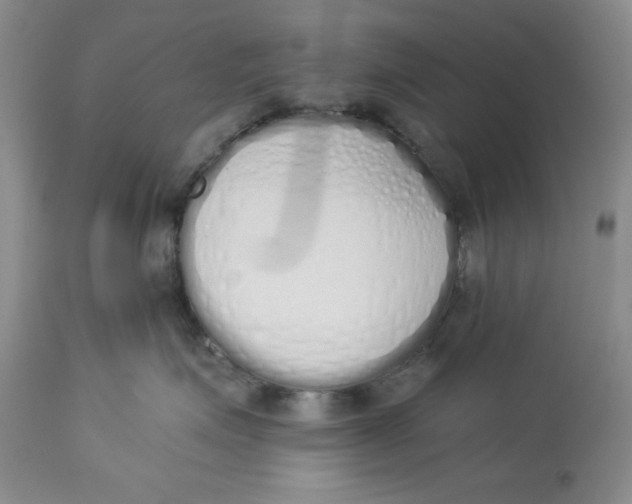 X0000114000623200910231753