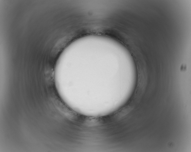 X0000114000624200910231753