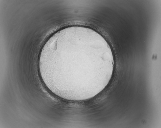 X0000114000625200910231752