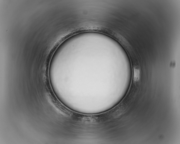 X0000114000627200910231752