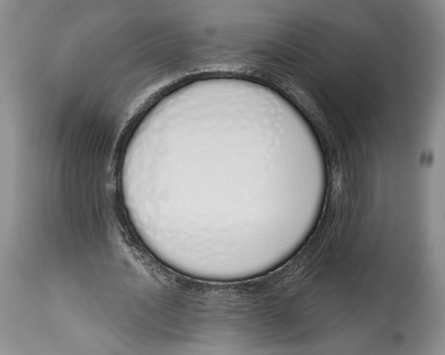 X0000114000628200910231752