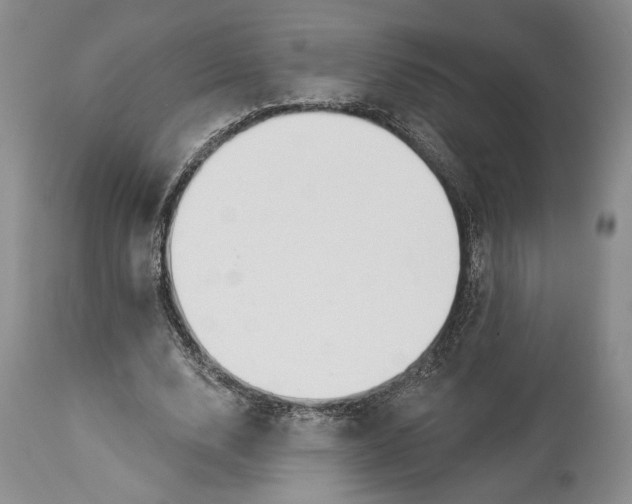 X0000114000632200910231752