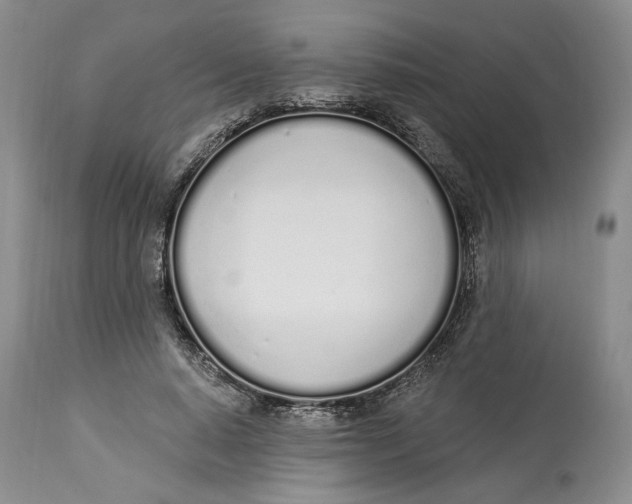 X0000114000640200910231753