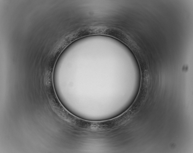 X0000114000641200910231753