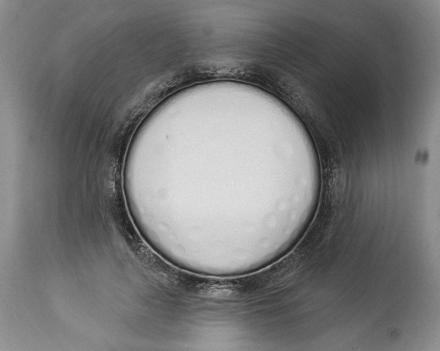 X0000114000643200910231753