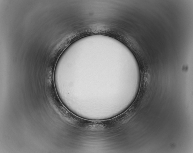 X0000114000644200910231753