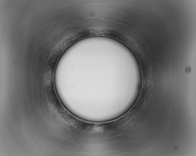 X0000114000647200910231753