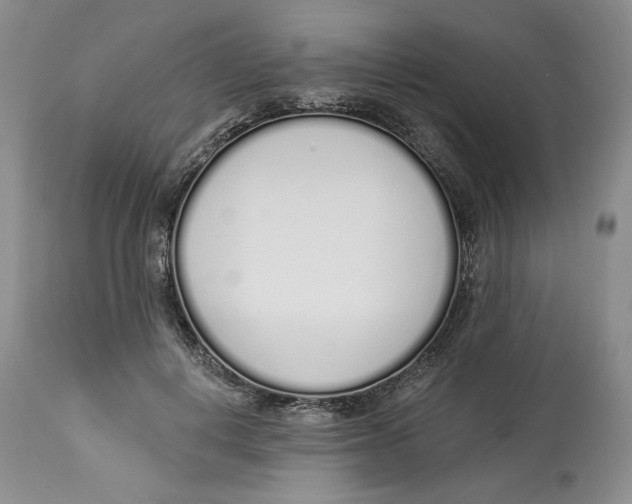 X0000114000648200910231753