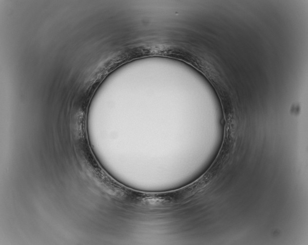 X0000114000650200910231753