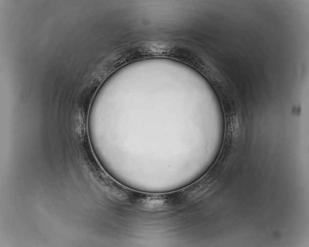 X0000114000651200910231753