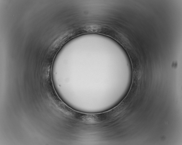 X0000114000652200910231753