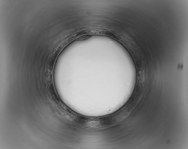 X0000114000653200910231753