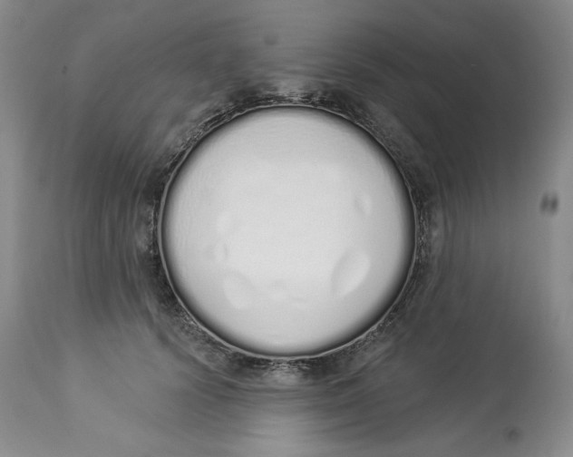 X0000114000656200910231753