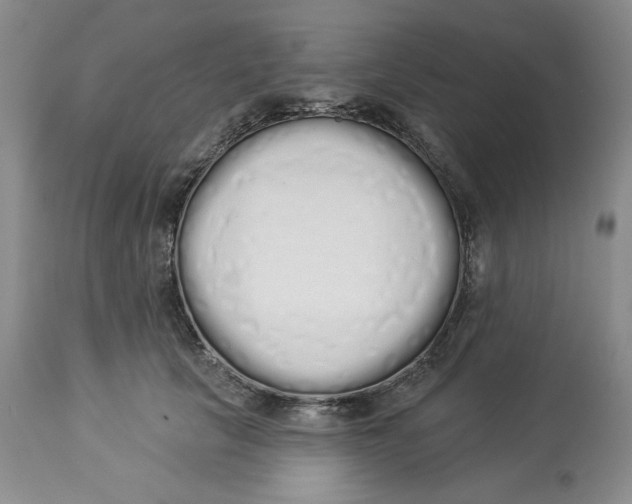 X0000114000657200910231753