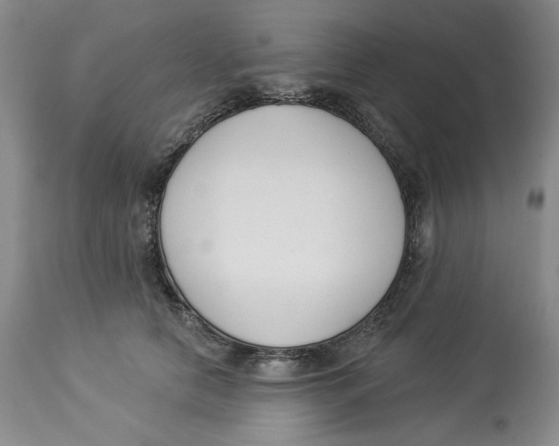 X0000114000658200910231753