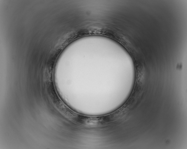 X0000114000661200910231753