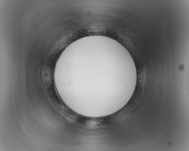 X0000114000662200910231753
